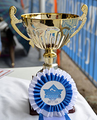 Travagliato Arabian Horse show 2013